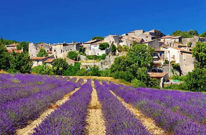 Champ de lavande devant un village perché du Luberon